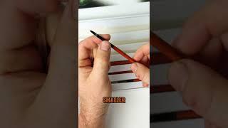 Unboxing Studio Wildlife X Craftamo Brush Set #art #artist #shorts #youtubeshorts #painting