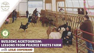 Agritourism on a Working Dairy Goat Farm