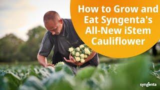 How to Grow and Eat Syngenta's All-New iStem Cauliflower