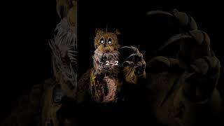 Twisted Freddy Vs Twisted Foxy