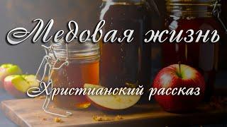 Медовая жизнь - Христианский рассказ Алексея Дунаева