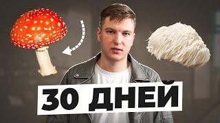 30 ДНЕЙ ПРИНИМАЮ МУХОМОР И ЕЖОВИК ГРЕБЕНЧАТЫЙ