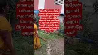 #automobile #goat #agriculture #farming #sheep #youtube #trendingvideos #trending #song #fbmemes