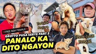 PANALO SA QUALITY AT PRESYO | GROTTO PUSA SERYE PART 2 | JANUARY 05, 2025