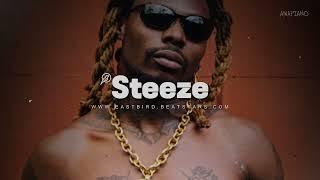 Tems ft Asake type beat | Amapiano x afro type beat 2024 | Afrobeat instrumental 2024 - Steeze
