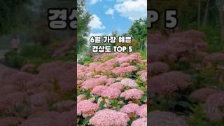 6월에 가장 예쁜 경상도 꽃길 여행지 TOP5  #국내여행지추천 #국내여행지 #국내여행추천 #주말가볼만한곳 #국내여행 #6월여행지