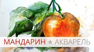 Рисую мандарин акварелью. Тестирую акварельную бумагу Hahnemuhle Harmony