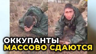 ВОТ ТАК РУССКИЕ СОЛДАТЫ СДАЮТСЯ В ПЛЕН УКРАИНЦАМ