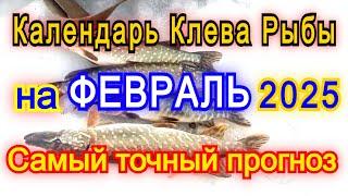 Календарь клева на февраль 2025 Прогноз клева рыбы Лунный Календарь рыбака 2025!