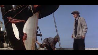 Orca: The Killer Whale (1977) Killing the Female