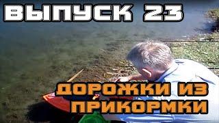 23 Просыпание дорожки