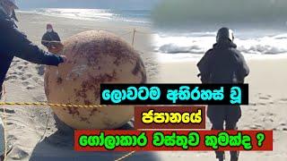 ලොවටම අභිරහස් වූ ගෝලාකාර වස්තුව කුමක්ද ? Mystery sphere found on beach perplexes Japan