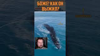 МОМЕНТ ОДИН НА МИЛЛИОН  МИР КОРАБЛЕЙ