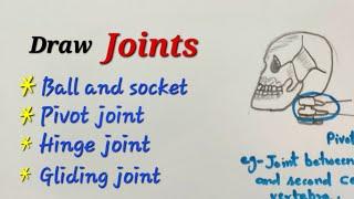 Joints drawing skeletal system,draw Ball and socket joint, pivot joint, hinge joint, gliding joint