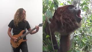 The Howler Monkey song