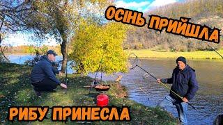 ОСІННІ КАРАСІ ДУЖЕ РАДУЮТЬ/ РИБАЛИМО З БАТЬКОМ НА РІЧЦІ ПІВДЕННИЙ БУГ