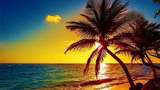 Beautiful Relaxing Peaceful Music - Stop Overthinking, Calm Music, "Tropical Shores" By Healing Soul