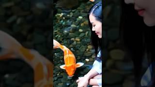 Slow down. Breathe. Let the koi guide you. #koi