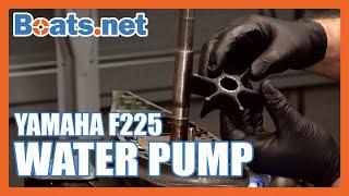 Yamaha F225 Water Pump Replacement | Yamaha Outboard Water Pump Impeller Replacement | Boats.net