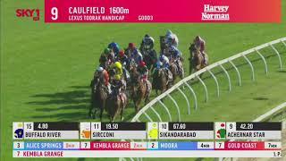 2020 Lexus Toorak Handicap - Caulfield - Mr Quickie (G1)