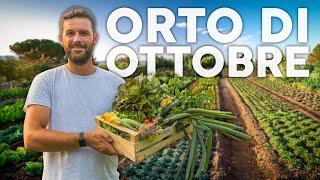 Cosa COLTIVARE a OTTOBRE: orto autunnale. Più di 30 ORTAGGI