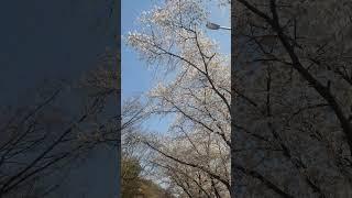 우울할때 듣는 기분좋은 음악 