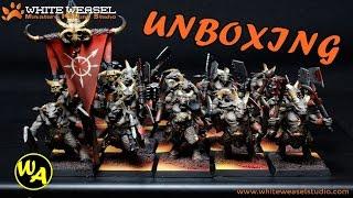 Unboxing de miniaturas pintadas por White Weasel Studio!!