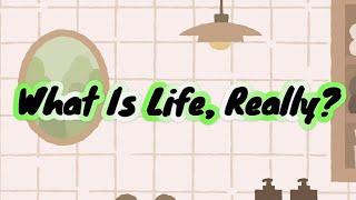 What Is Life, Really? A Journey Into Complexity and Existence