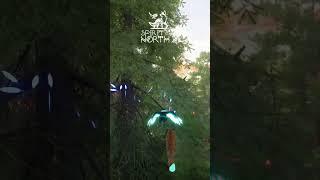 Catch me if you can : Spirit of the North 2