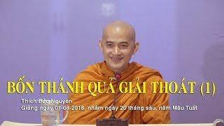 BỐN THÁNH QUẢ GIẢI THOÁT 1 (pháp vi diệu) - Thích Bảo Nguyên