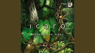 Grandfather's Icaro