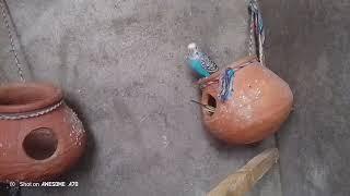 #17 DAILY VLOG ROUTINE WORK VLOG TECH NAVEED PART 17