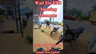 Fantastic Dog Catching Moment  #streetdogplanet44 #dog #animals #pets #new #ytviral