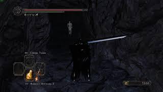 DARK SOULS™ II. Ковенант Пилигримов тьмы. Прячущийся во тьме