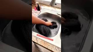 If you get braids, you have to see this #trending #hairstyle #hair #viralvideo #shorts #short #viral