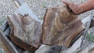 Turning a Winged Walnut Bowl from Crotch Wood..... Woodturning with Sam Angelo