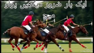 polo official video #Polo Master polo best video #polomaster#pologames #polo #poloplayers