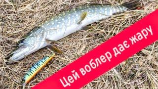 Цей воблер дає жару. Щука від нього просто дуріє. Рибалка. Сіверський Донець . Ендуро️- рибалка