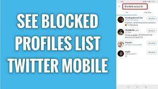 How To See Blocked Profiles List On Twitter Mobile