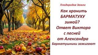 Как хранить  Барматуху зимой/ Из опыта нашего подписчика + песня на стихи Александра №113/24