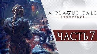 A Plague Tale: Innocence ● Прохождение #7 ● ЧУМНОЙ ГОРОД