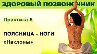 Поясница, Ноги. Наклоны. Урок 5