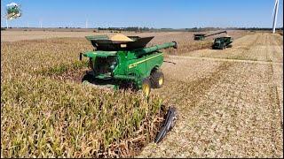 Crossroad Farms Corn Harvest 2024 | John Deere X9 1100 Combines with 24 Row Corn Heads