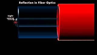 Reflection - EXFO animated glossary of Fiber Optics