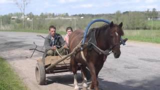 Ленинградская область.  Попкова Гора и  Нагинщина