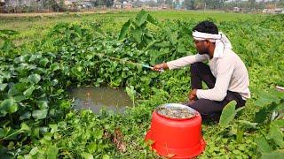 Fishing Video || The boy always catches a lot of fish from the village canal || Best fishing trap