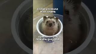 Будни матери ️ #семьявместе #юмор #приколы #многодетнаясемья  #дети #детииродители #ванная #отдых