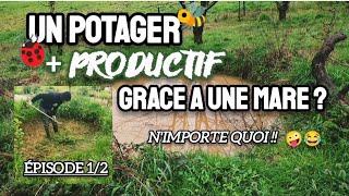 Un POTAGER plus productif avec une MARE ?