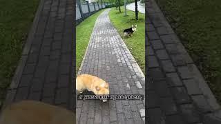 Что такое визуальный контакт?