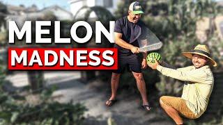 Harvesting the FIRST Melons from the Garden!